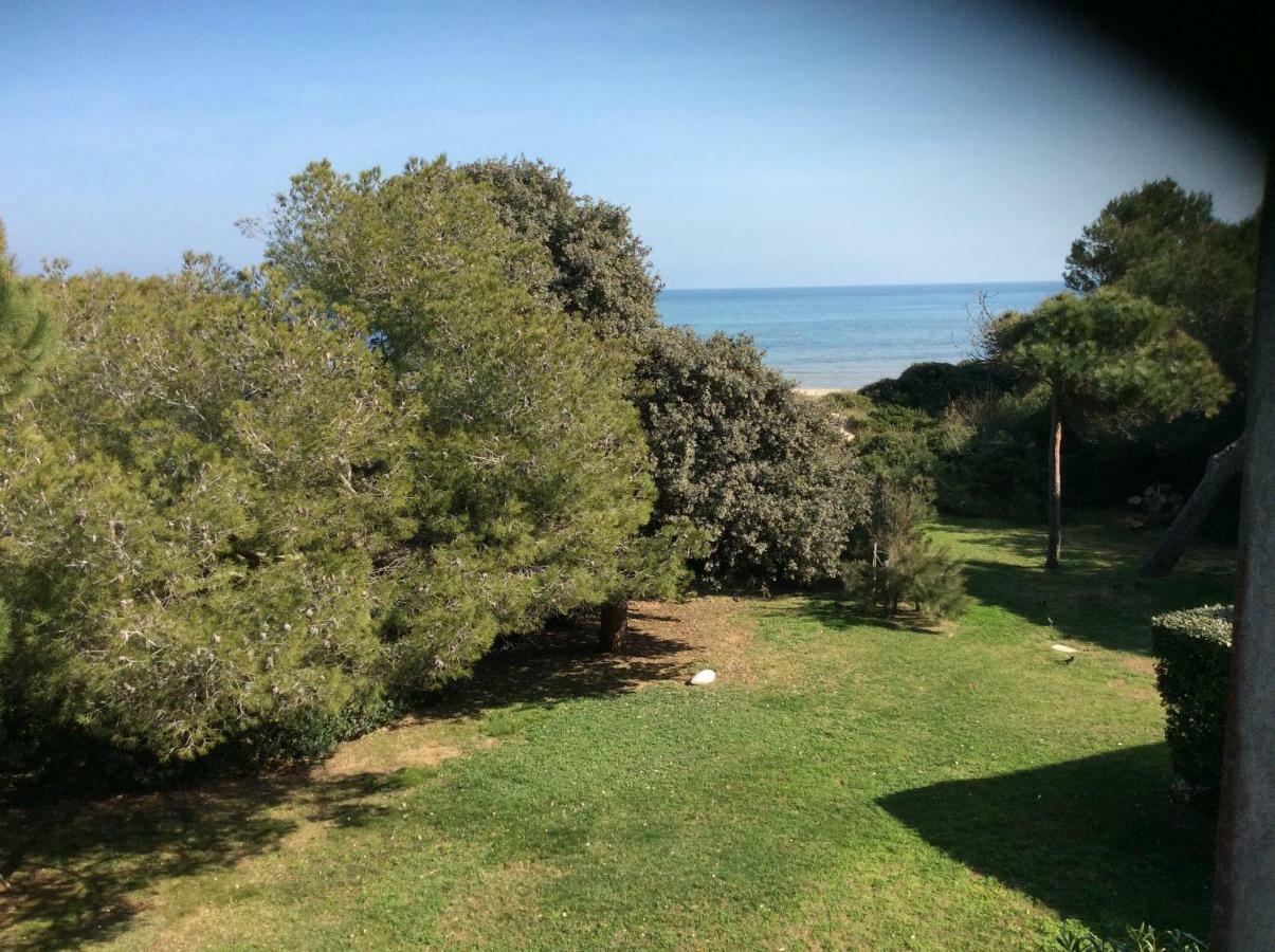 Entre mer et piscine Hyères Exterior foto